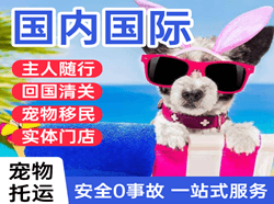 呼伦贝尔空运代理国际宠物托运 【国